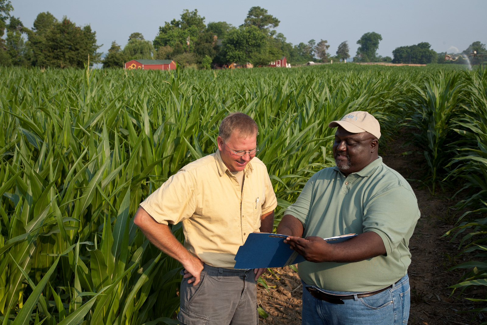 Two men reading a clipboard in a field